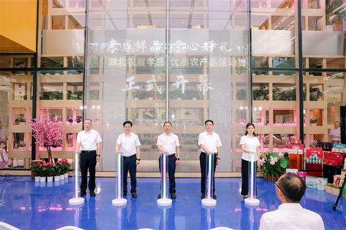 湖北孝感鮮品 孝心好禮——優質農產品活動周武漢啟幕，文化展演傳遞孝鄉魅力